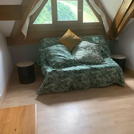 Pleine Nature Pied Pistes Piscine Chauffee 우스투