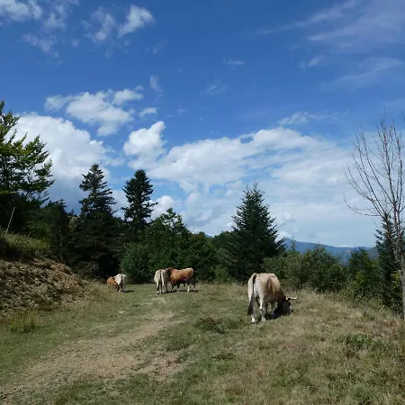 Pleine Nature Pied Pistes Piscine Chauffee アパート