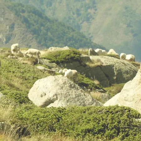 아파트 Pleine Nature Pied Pistes Piscine Chauffee *