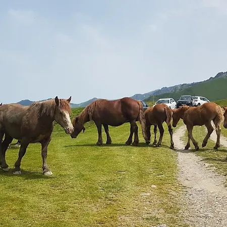 Pleine Nature Pied Pistes Piscine Chauffee Apartmán *