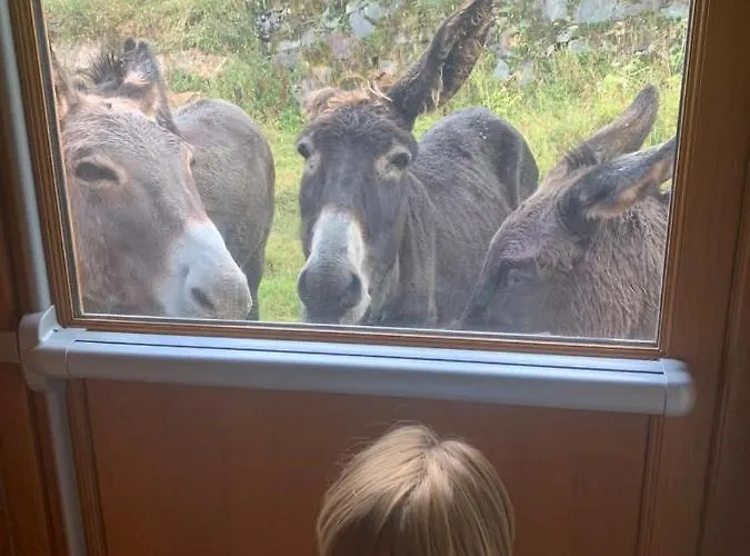 Pleine Nature Pied Pistes Piscine Chauffee Ustou