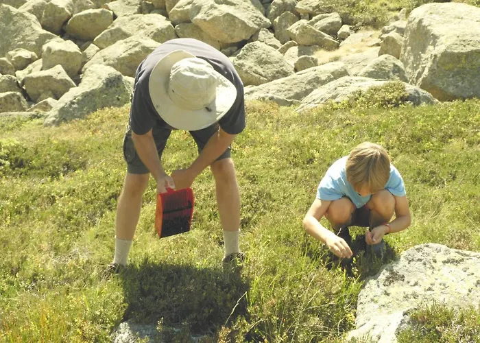 Pleine Nature Pied Pistes Piscine Chauffee Ustou