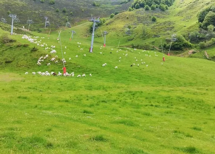 Pleine Nature Pied Pistes Piscine Chauffee Apartmán Ustou