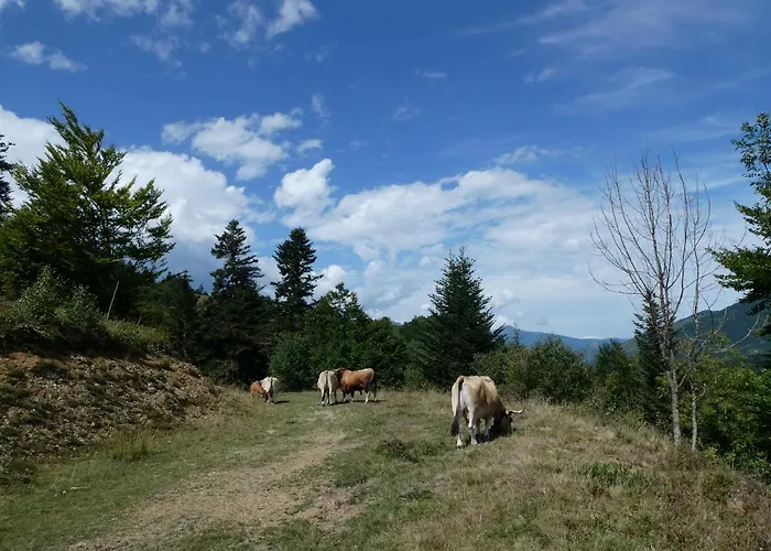 Pleine Nature Pied Pistes Piscine Chauffee Apartmán