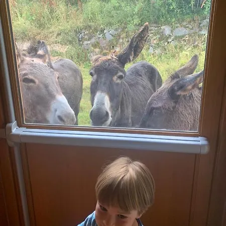 Pleine Nature Pied Pistes Piscine Chauffée Ustou