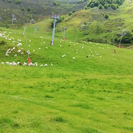 Pleine Nature Pied Pistes Piscine Chauffee דירה Ustou