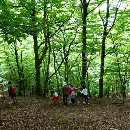 Pleine Nature Piscine Chauffee Ustou