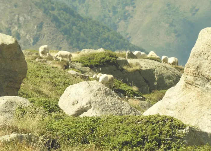 아파트 Pleine Nature Pied Pistes Piscine Chauffee *