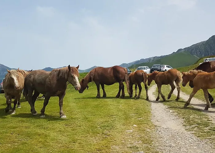 Pleine Nature Pied Pistes Piscine Chauffee 아파트 *